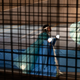 Image for article titled At Least COVID Gave Us Drive-Thru Opera